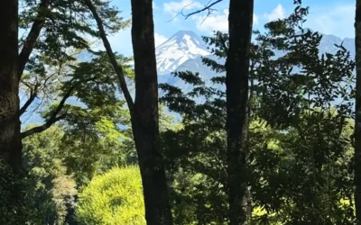 En Pucón, tenemos el terreno perfecto para tu cabaña soñada.