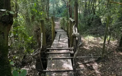 Vida en conexión con la naturaleza, en nuestras parcelas de Pucón e Ibáñez.