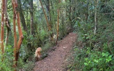 De la ciudad al campo, sin perder tu calidad de vida.